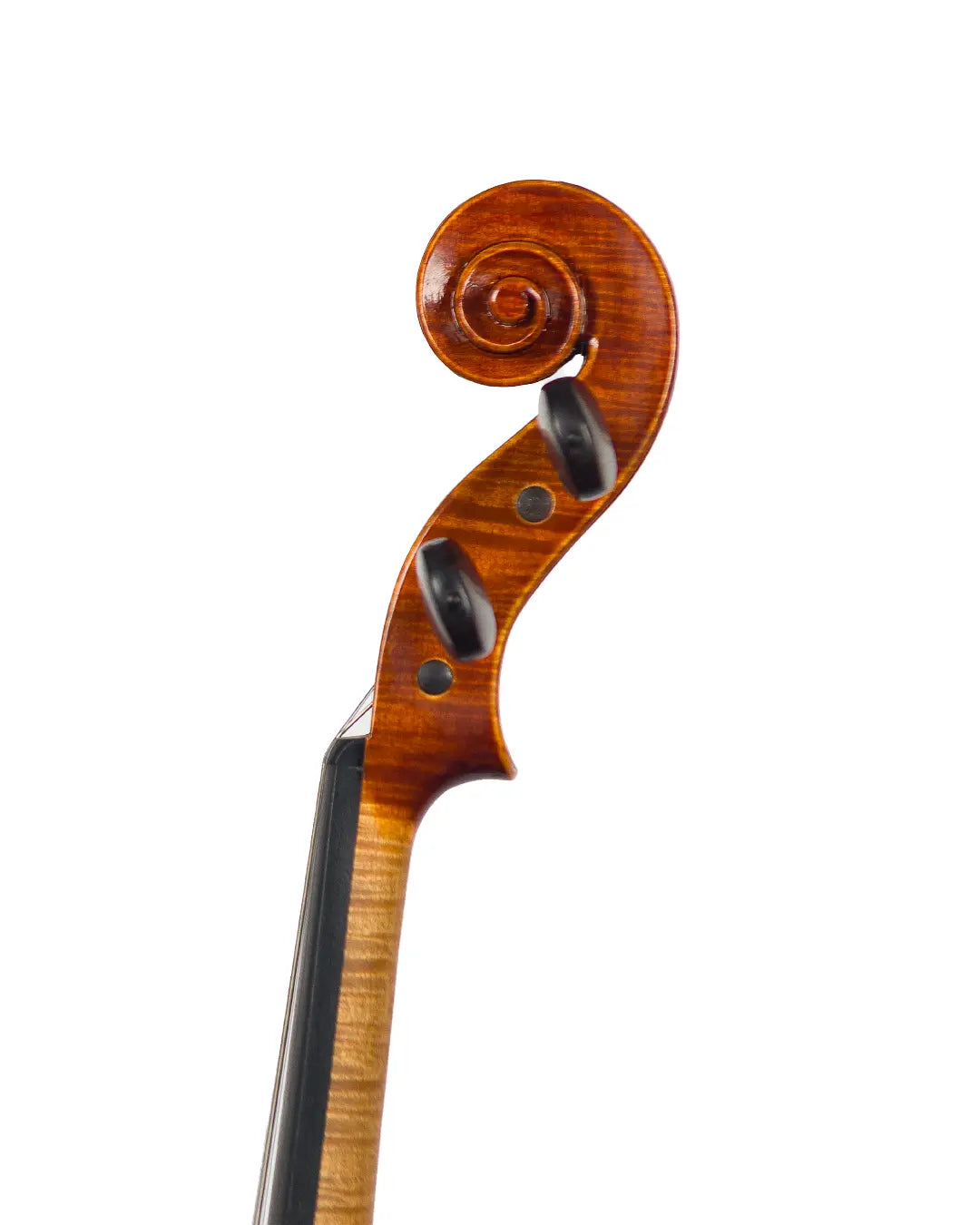 Violino do autor Rogério Fagundes, 2021